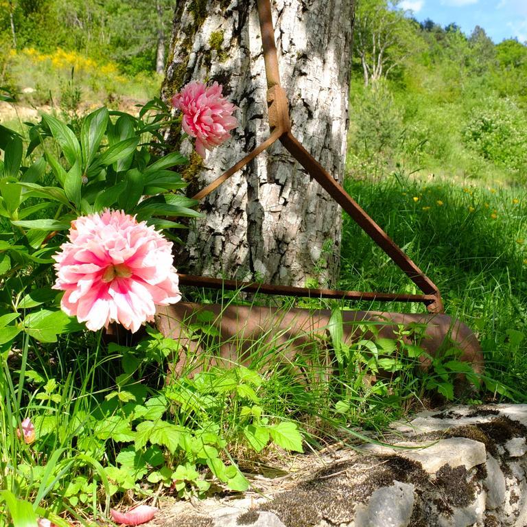 La Sauvaniere Menée Zewnętrze zdjęcie
