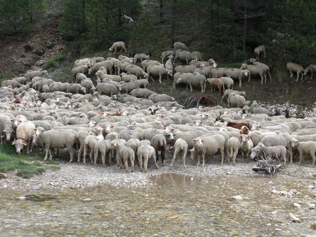 La Sauvaniere Menée Zewnętrze zdjęcie