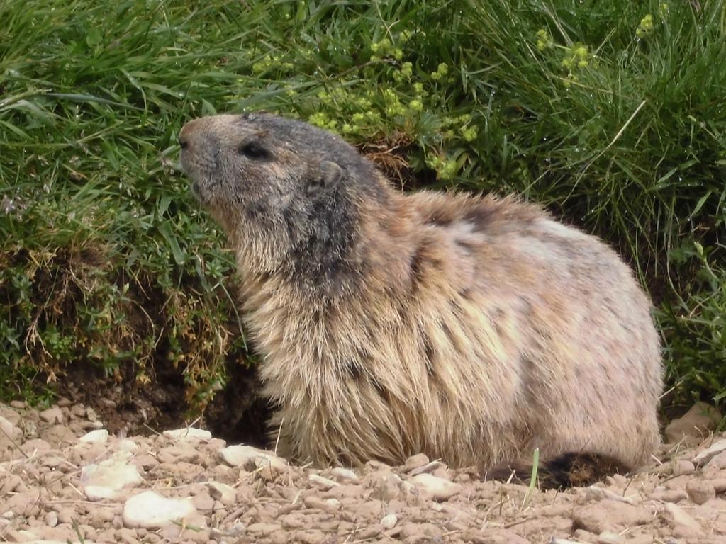 La Sauvaniere Menée Zewnętrze zdjęcie